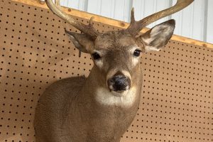 Pre-Bid now or live, online auction day at http://sunrise-antiques.hibid.com/auctions